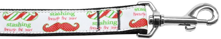 Stashing through the Snow Nylon Dog Leash 3/8 inch wide 6ft Long